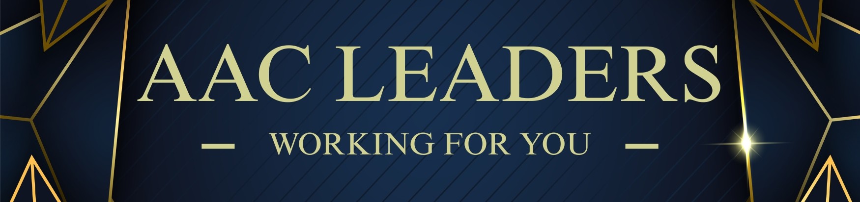 AAC Leaders for Board Banner